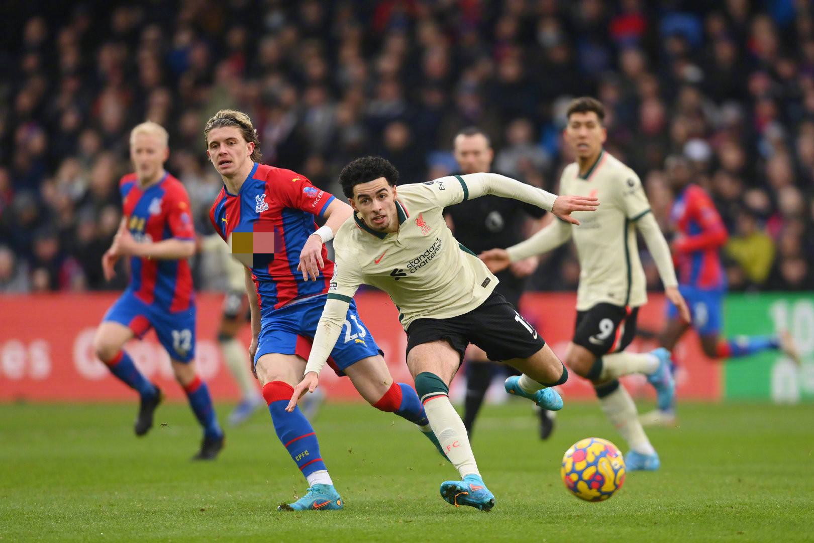 多次在公开 多次在公开